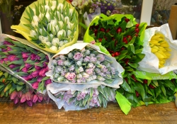 Цветочный базарчик в Нобель-парке 3 и 4 марта